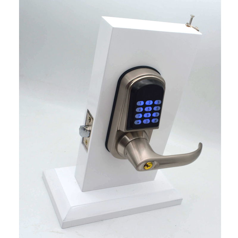 Serrure de porte numérique TTl - Door Handle avis et prix