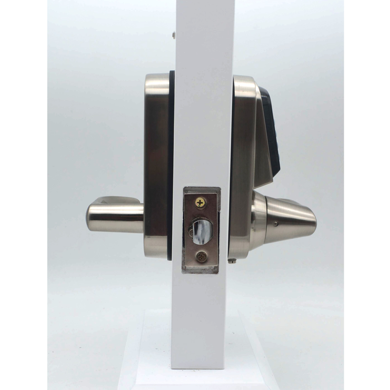 Serrure de porte numérique TTl - Door Handle avis et prix